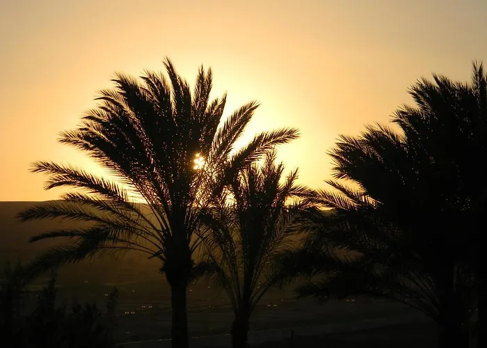 Martha アパート コラレホ